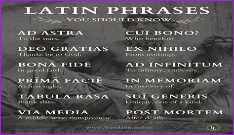 A Profile Of A Latin Beauty