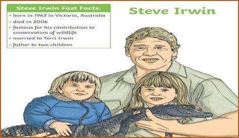 Why Was Steve Irwin Criticized? Unpacking Public Perceptions